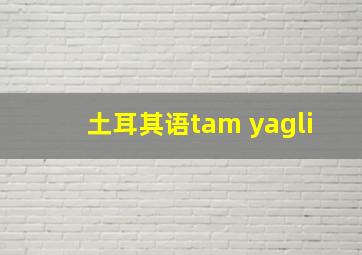 土耳其语tam yagli